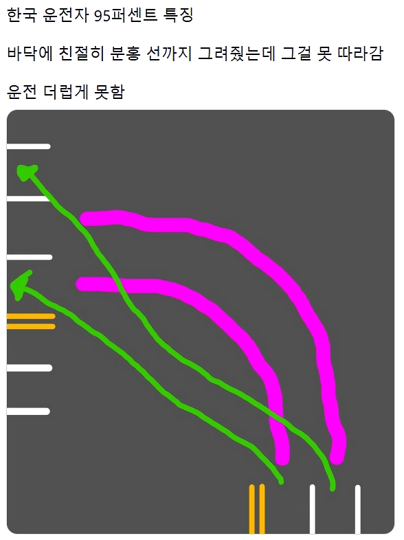 한국 운전자의 95% 특징.jpg