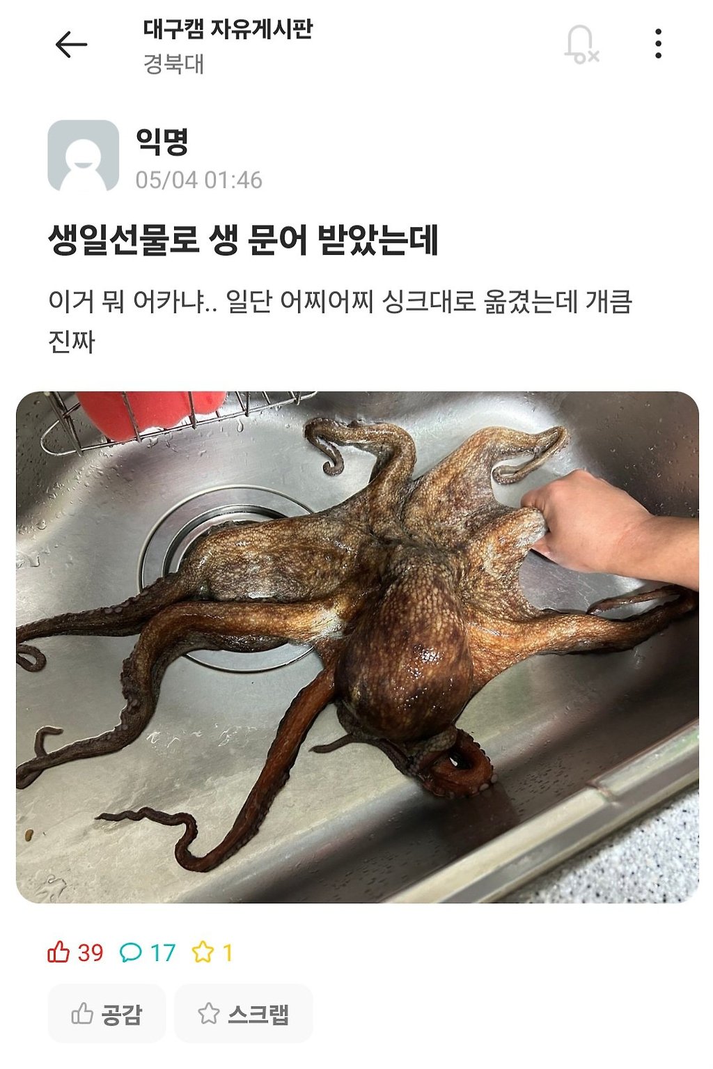 싱글벙글 오늘자 경북대 에타.jpg