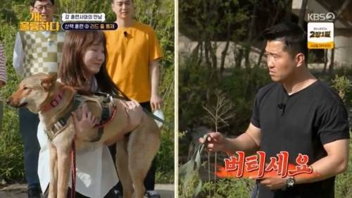 헬스트레이너 강형욱.jpg