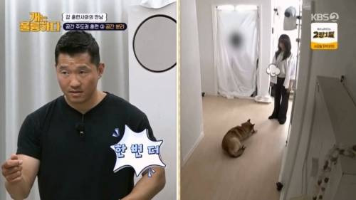 헬스트레이너 강형욱.jpg