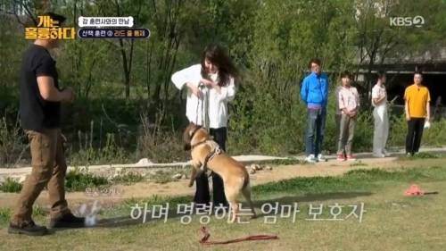 헬스트레이너 강형욱.jpg