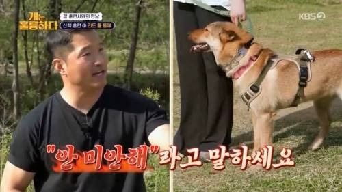 헬스트레이너 강형욱.jpg