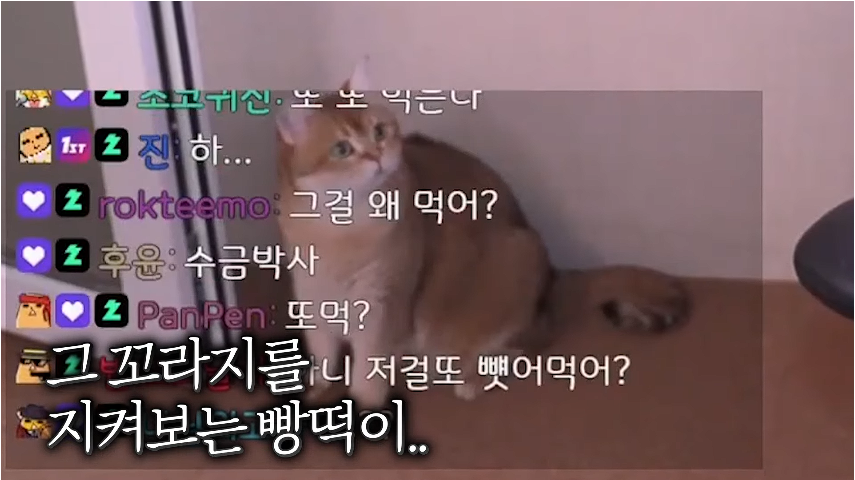 ㅇㅂ)한 방송인이 인간이길 포기한 이유