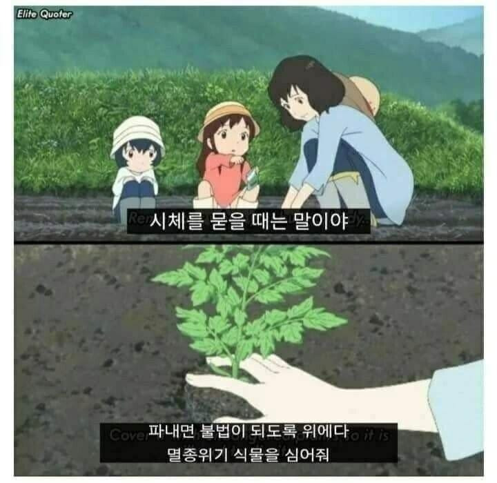 꿀팁