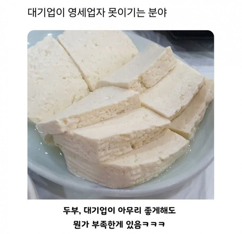 대기업이 영세업자 못 이기는 분야