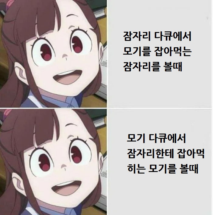 관점의 차이