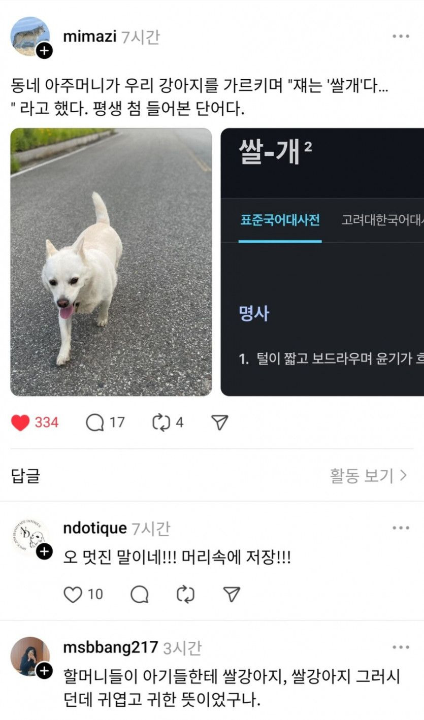 동네 아주머니가 우리 개를 가리키며 쌀개라고 함