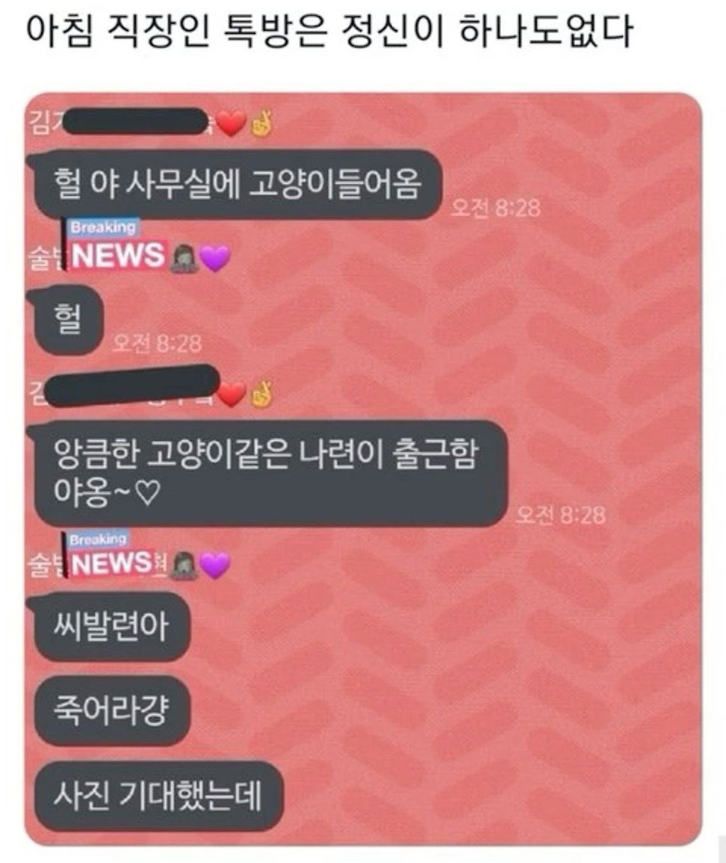 대한민국 남자 여자의 공통점.jpg