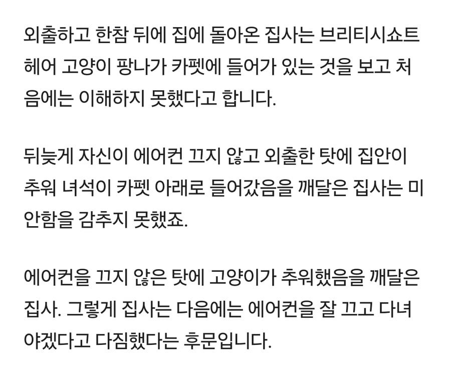 에어컨 끄는 것 깜빡 잊고 외출 나갔다 집에 돌아온 집사가 ...