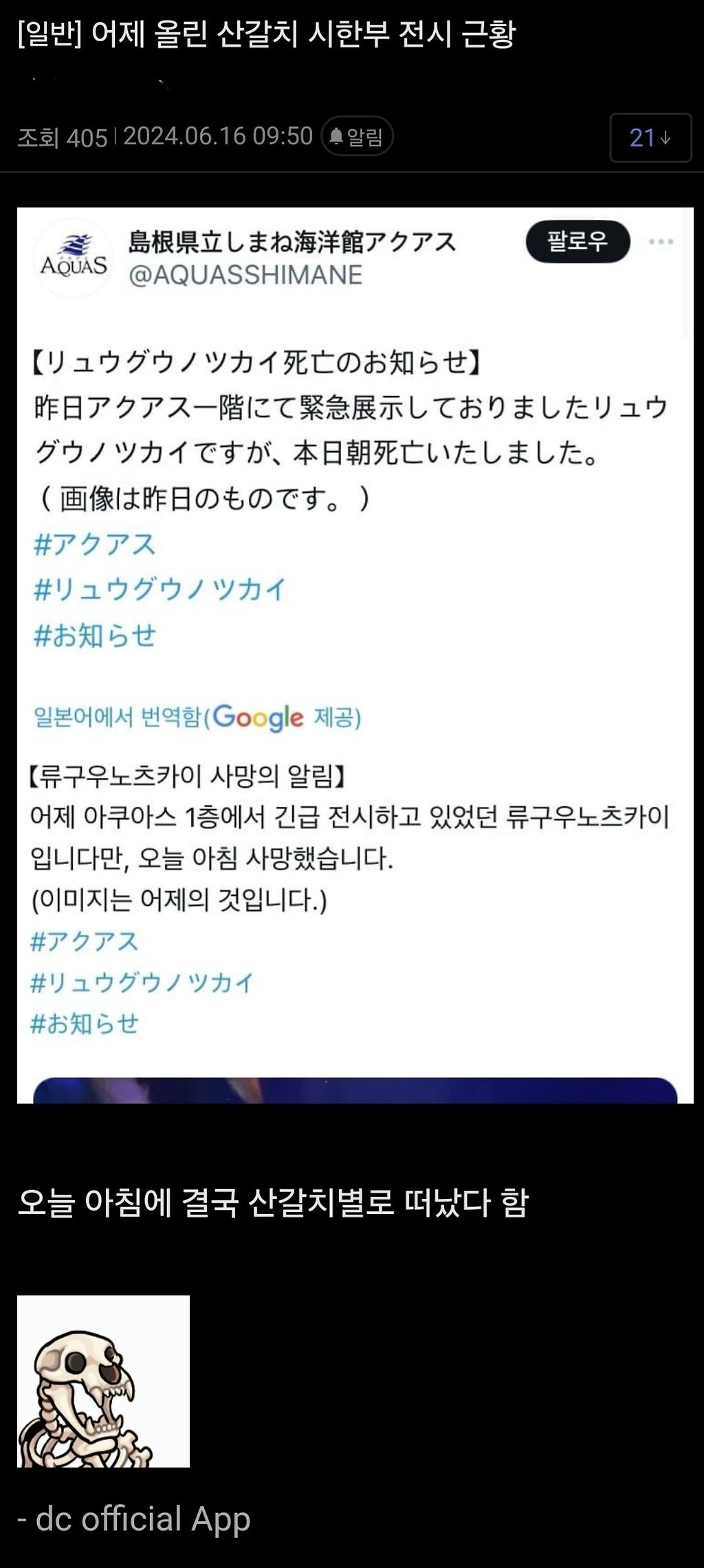 일본 아쿠아리움의 신개념 심해어 전시