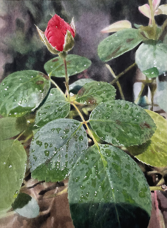 미쳐버린 한국 예술계 근황 ㅋㅋㅋㅋㅋ