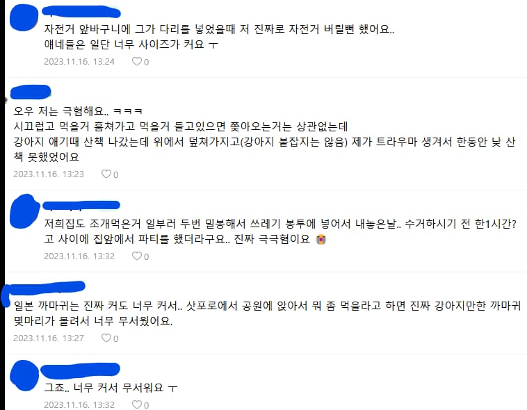 일본 가면 조심해야하는 생물