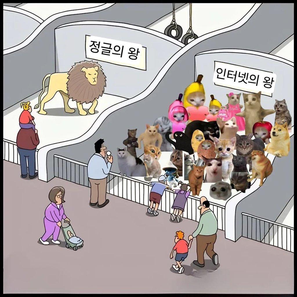 외국 밈 번역 모음