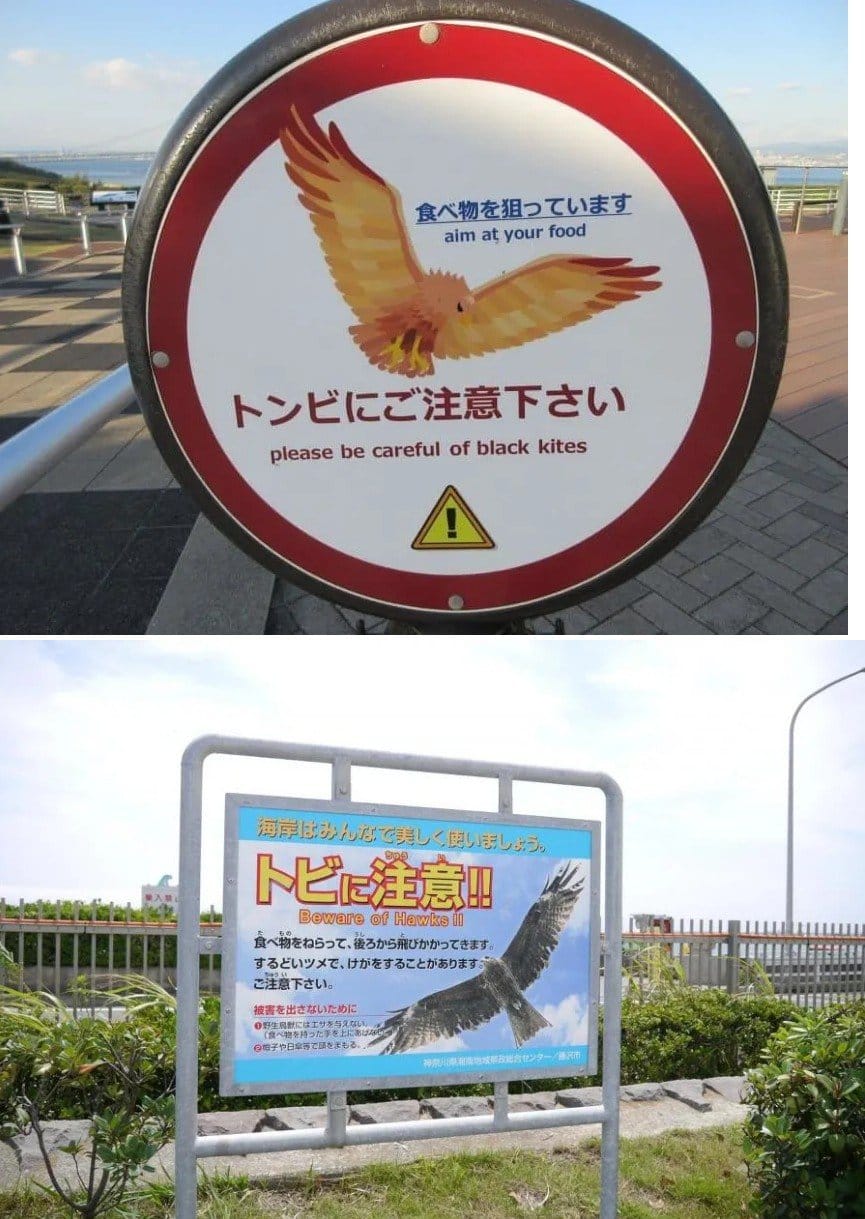 일본 어떤 섬에 있는 솔개주의 표지판