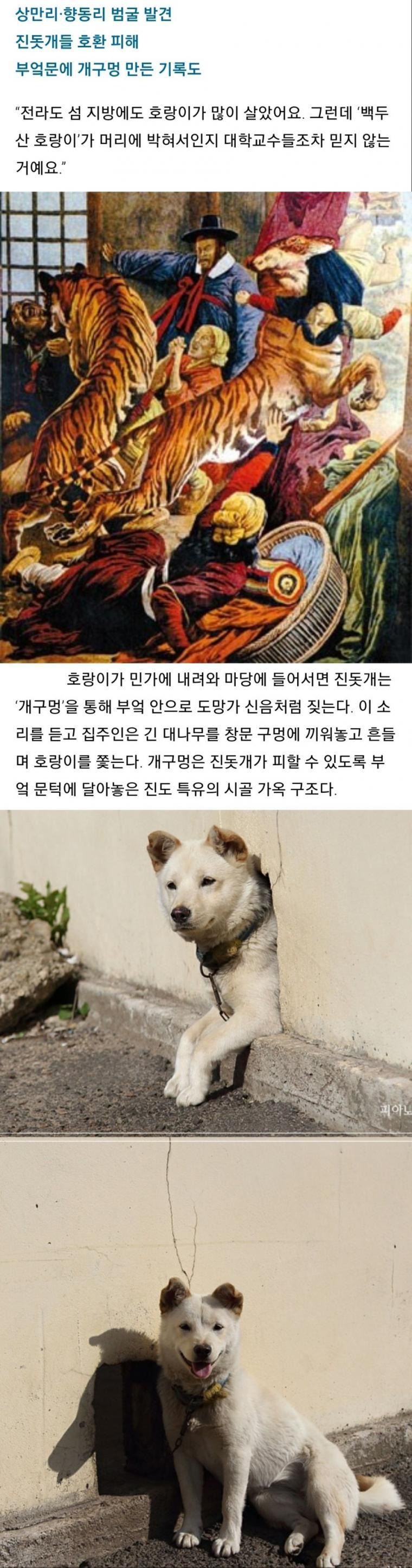 한국에서 개구멍이 생겨난 이유