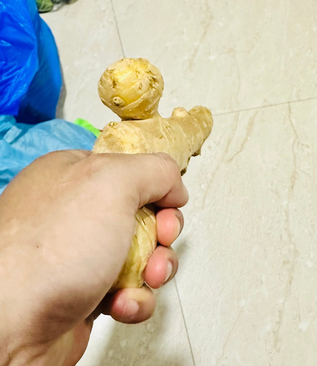 생강 싫어하는데 억지로 삼