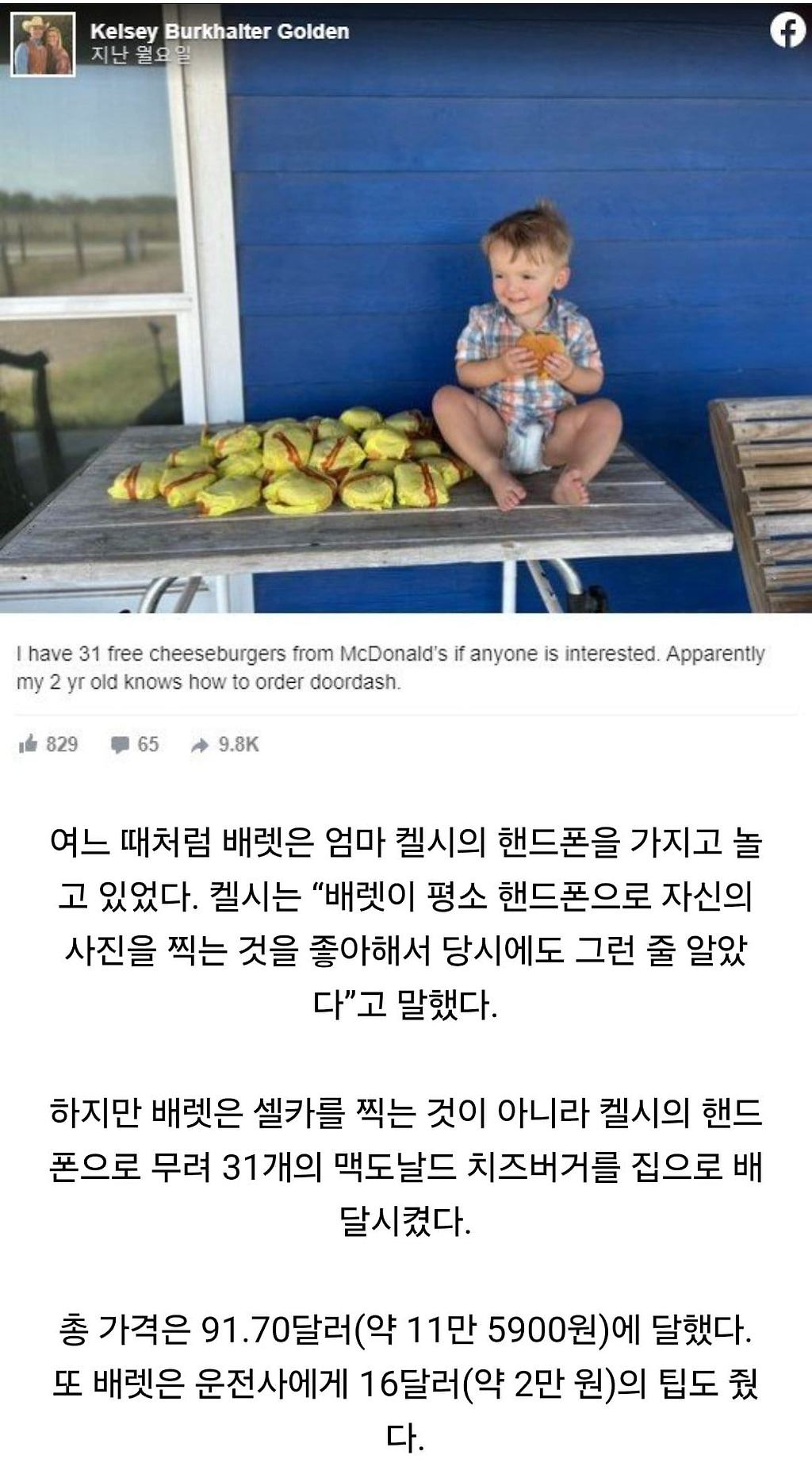 햄버거 31개 주문한 2살 아기