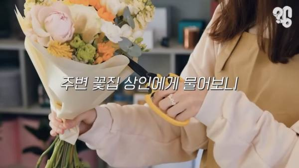 스압) 1000원 빵????집이 계속 사라지는 이유