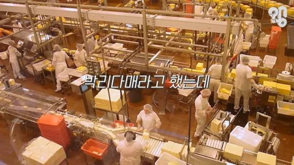 스압) 1000원 빵????집이 계속 사라지는 이유