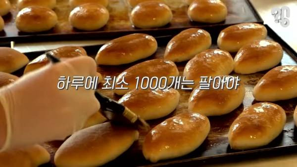스압) 1000원 빵????집이 계속 사라지는 이유