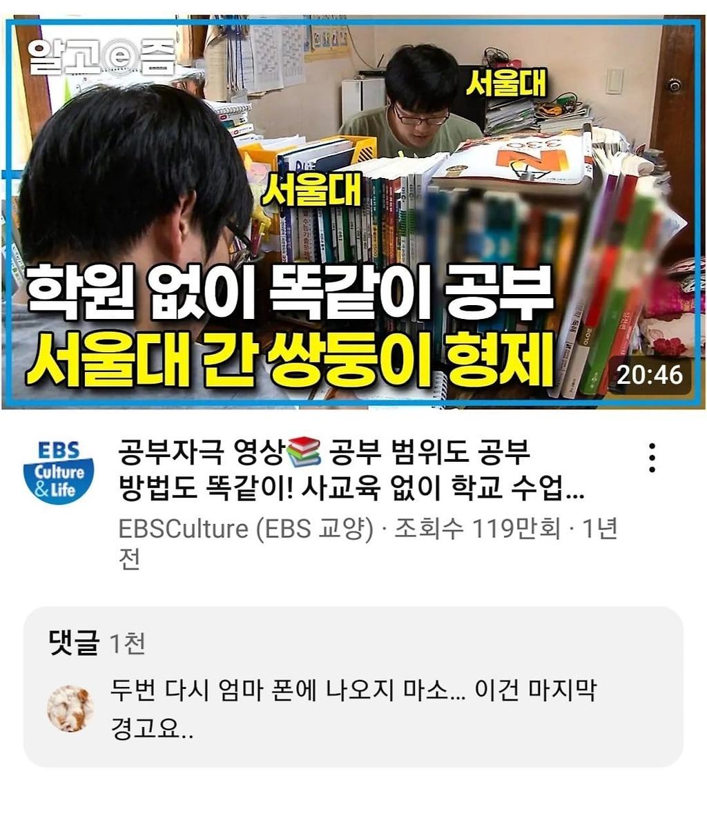 학원 없이 서울대 간 쌍둥이들을 향한 경고.jpg