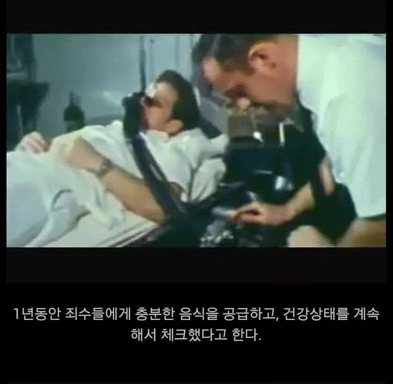 아무리 먹어도 살이 안찌는 체질에 대한 실험