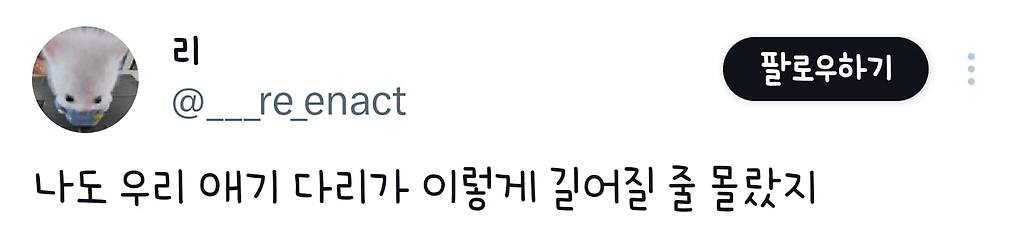 강아지가 이정도로 롱다리로 클지 몰랐다는 견주