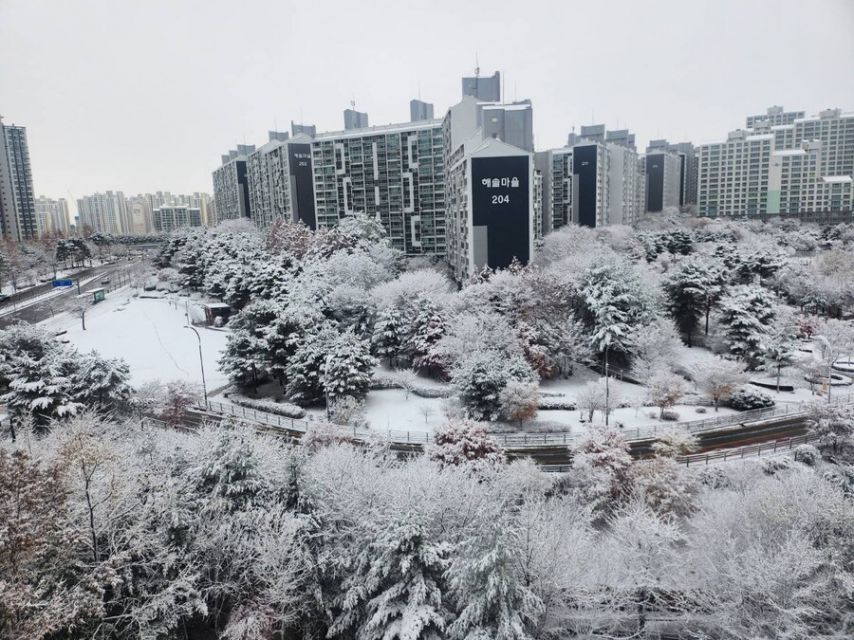 우리나라에서 단 2주만에 벌어진 일