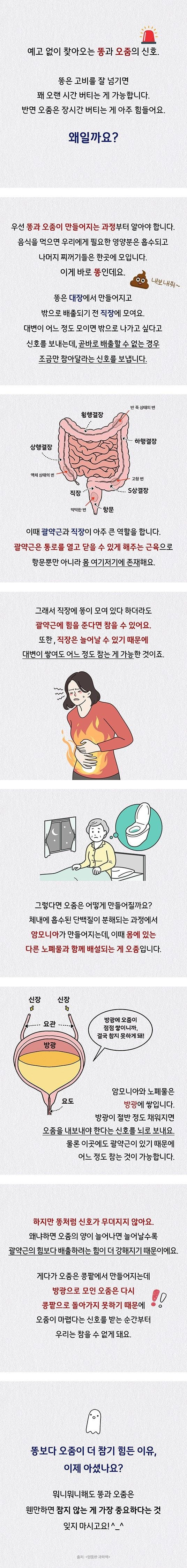 똥보다 오줌이 더 참기 힘든 이유