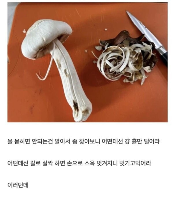 버섯왁싱