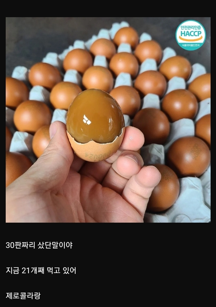 다이어트 하려고 구운계란 샀거든