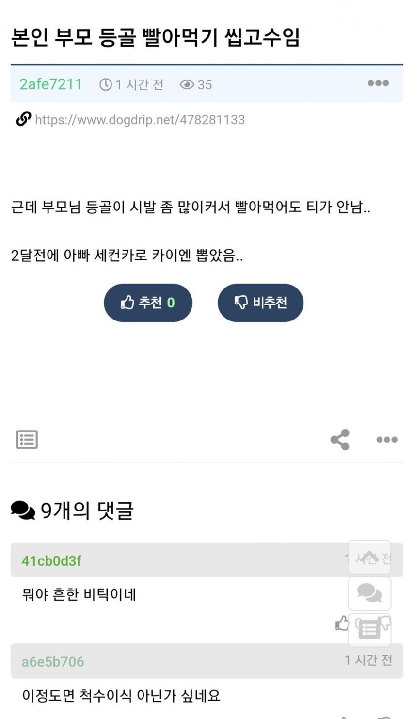 부모님 등골 빨아먹기 고수