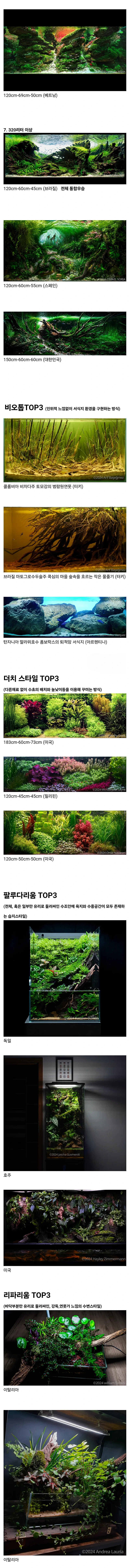 2024 세계어항꾸미기대회 수상작들