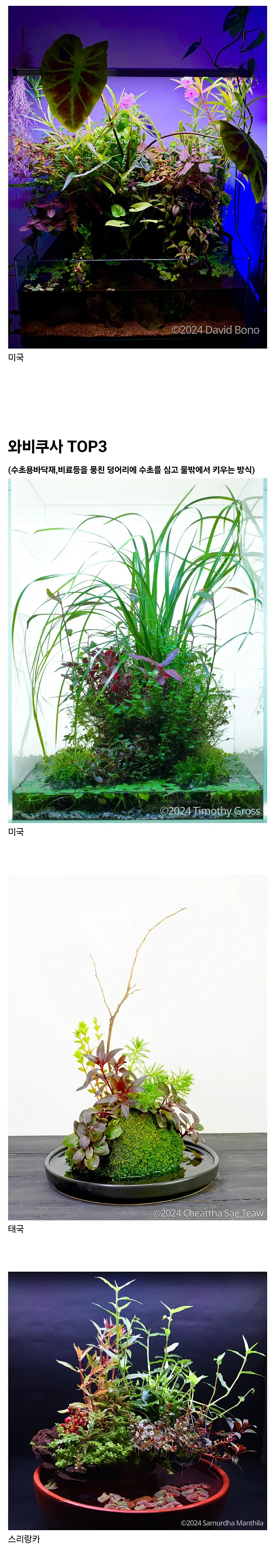 2024 세계어항꾸미기대회 수상작들