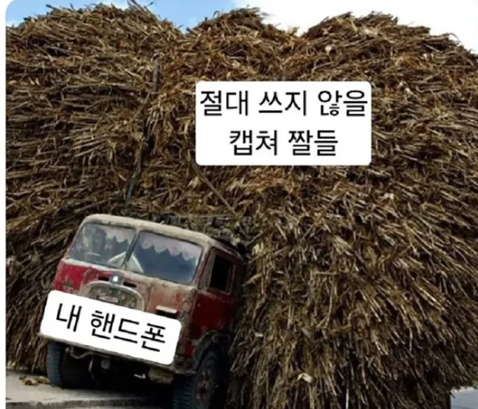 뭔가 흥미로운 게 보이면 캡처하는 사람들 특