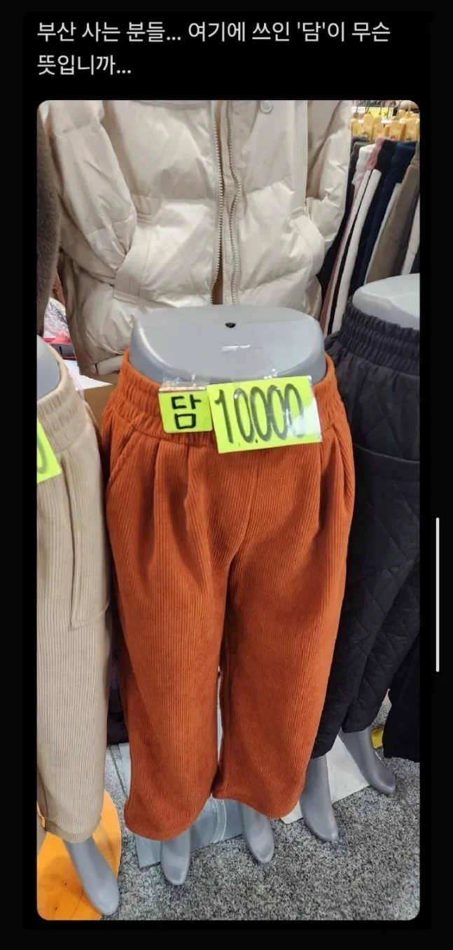 부산 사는 분들...담이 무슨 뜻입니까