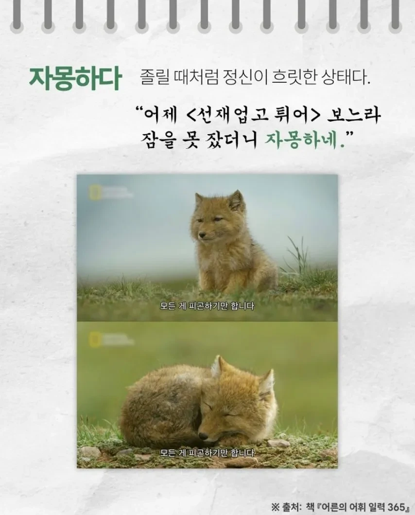 들을수록 귀엽고 예쁜 순수 우리말들