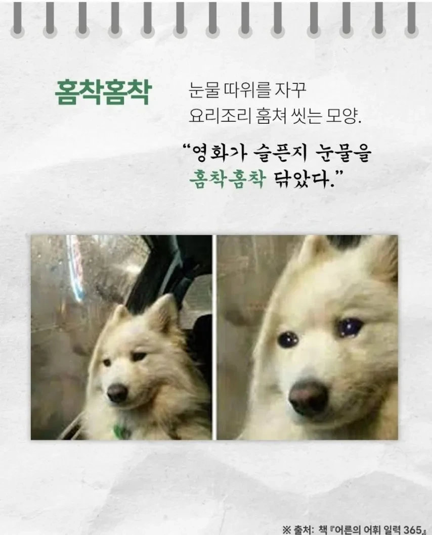 들을수록 귀엽고 예쁜 순수 우리말들