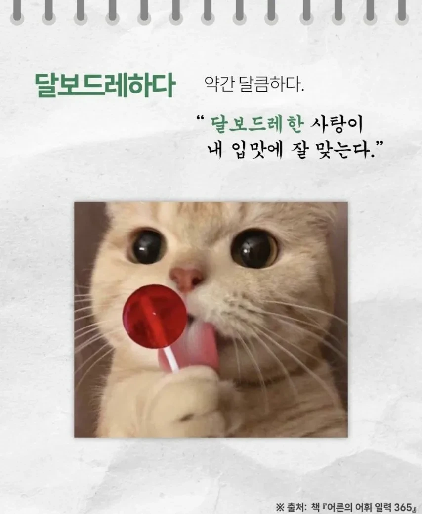 들을수록 귀엽고 예쁜 순수 우리말들