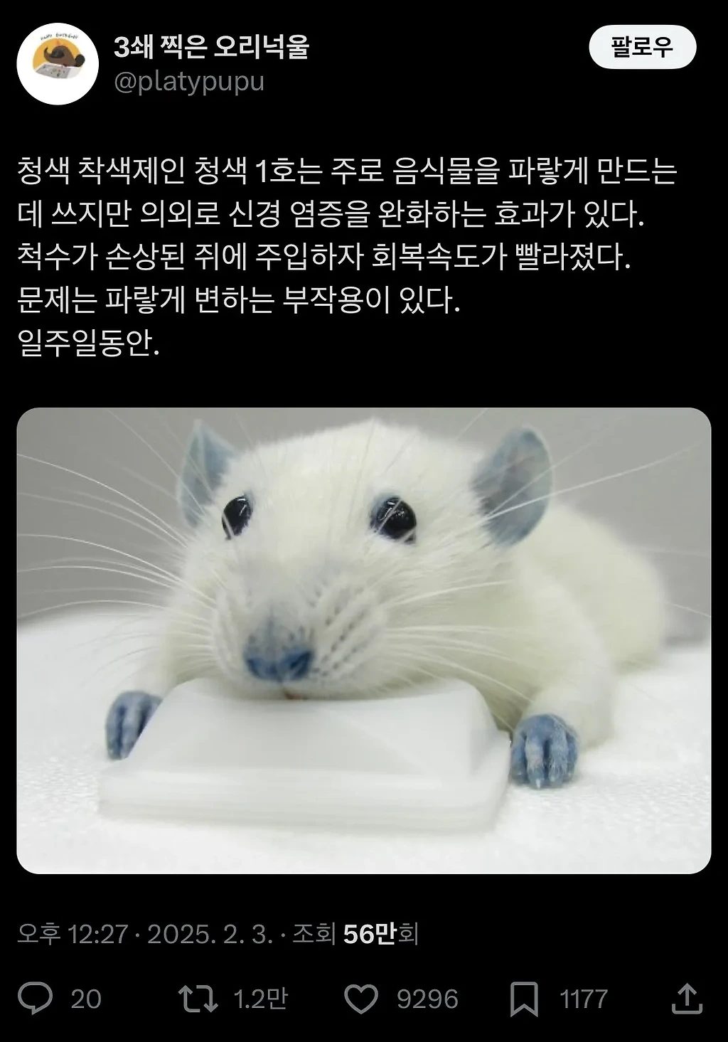 청색1호 식용색소의 의외의 효능