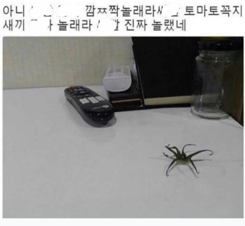 토마토 꼭지 보고 놀란 사람.JPG