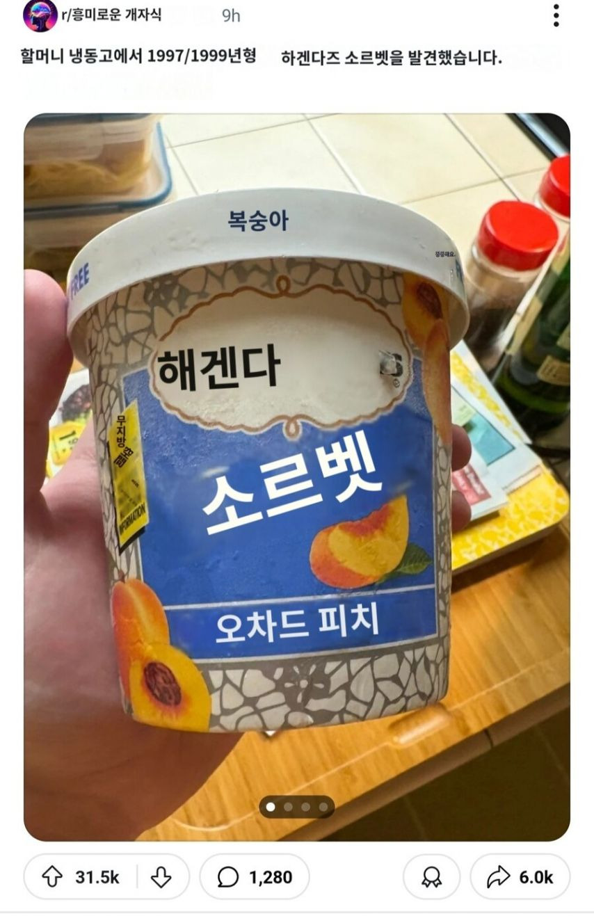 미국에서 댓글 1000개 넘게 달린 할머니집 냉장고의 하겐다즈