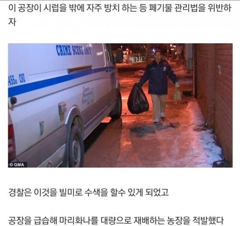 미국 레드허니 사건