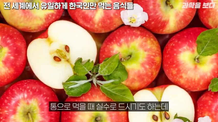 사과씨 180개를 한번에 먹으면