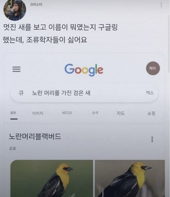 멋진 새를 보고 이름이 뭔지 찾아보다 조류 학자들이 싫어짐