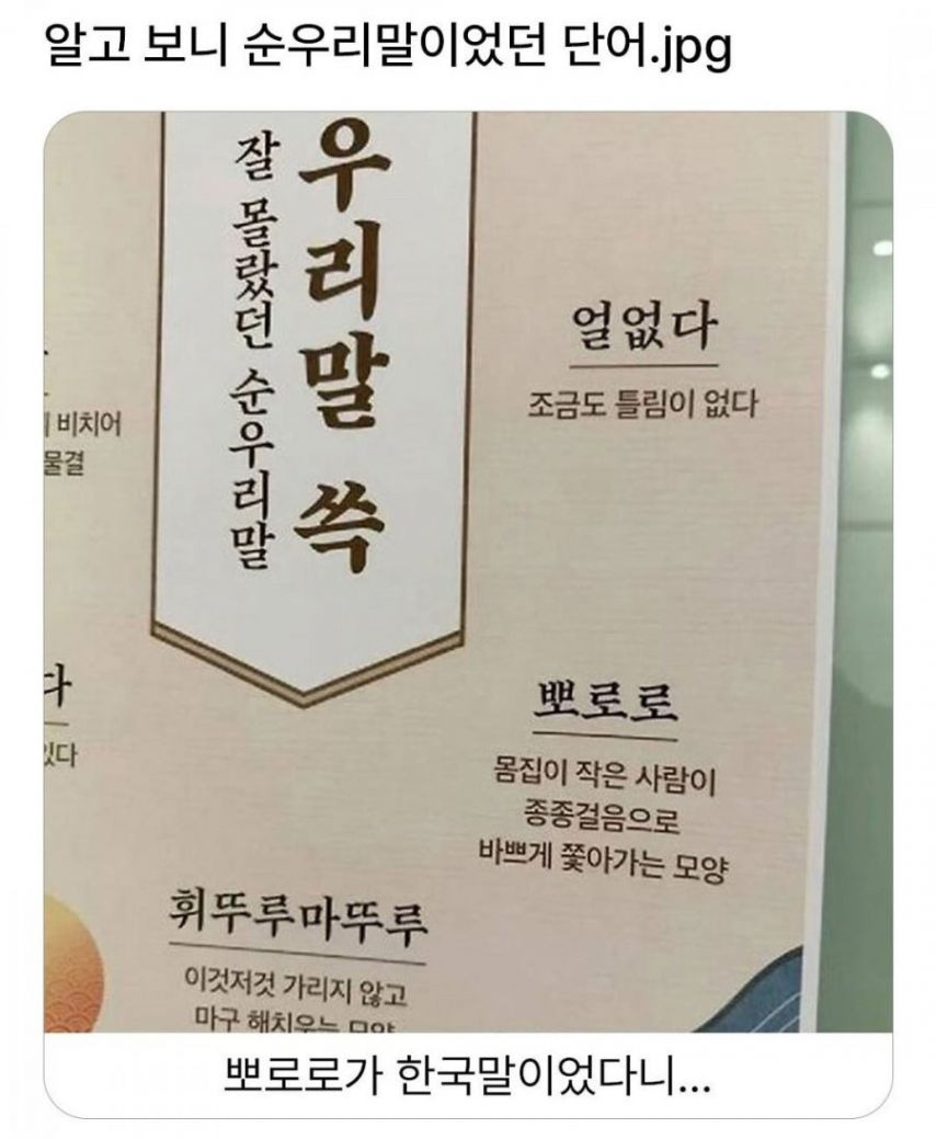 뽀로로가 순우리말이었다니....