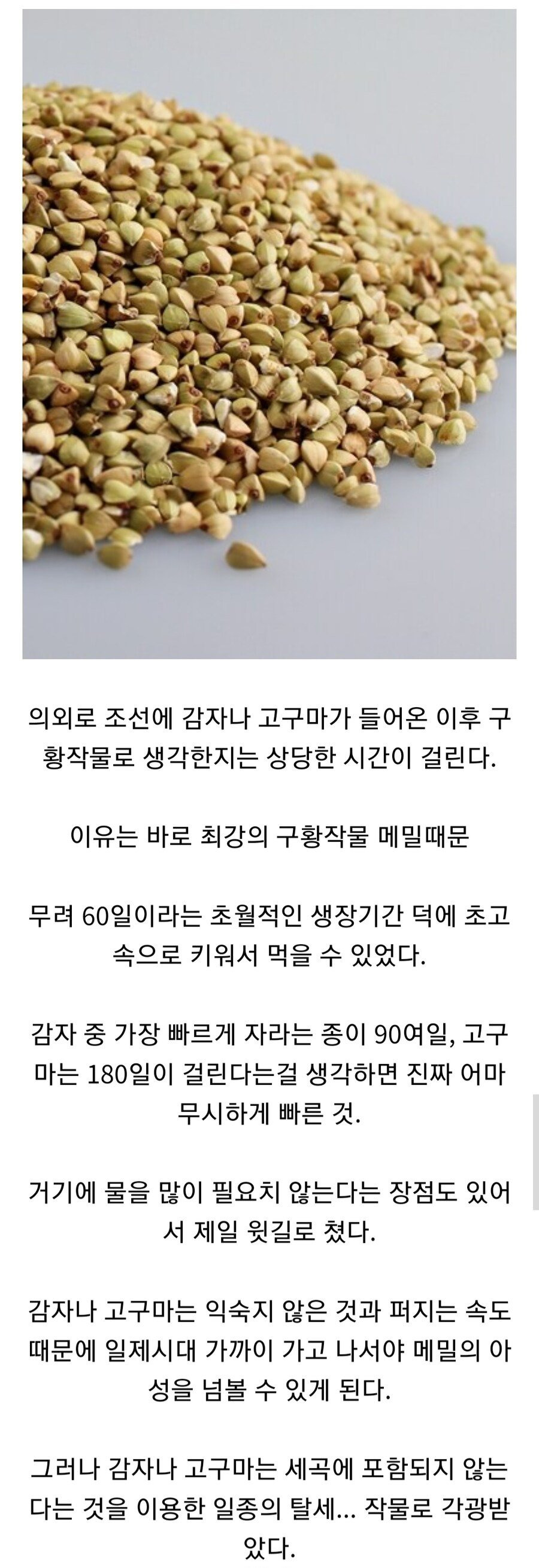 조상님들이 감자를 구황작물로 안 심었던 이유