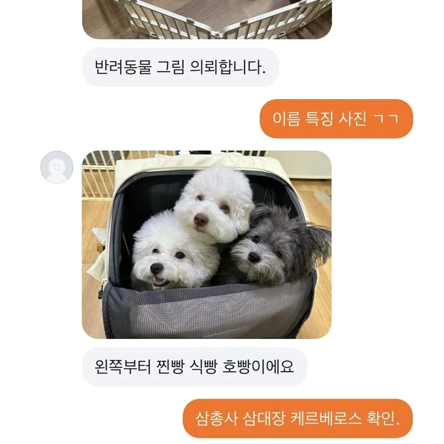 반려동물 그림 그려드립니다