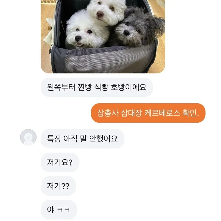 반려동물 그림 그려드립니다