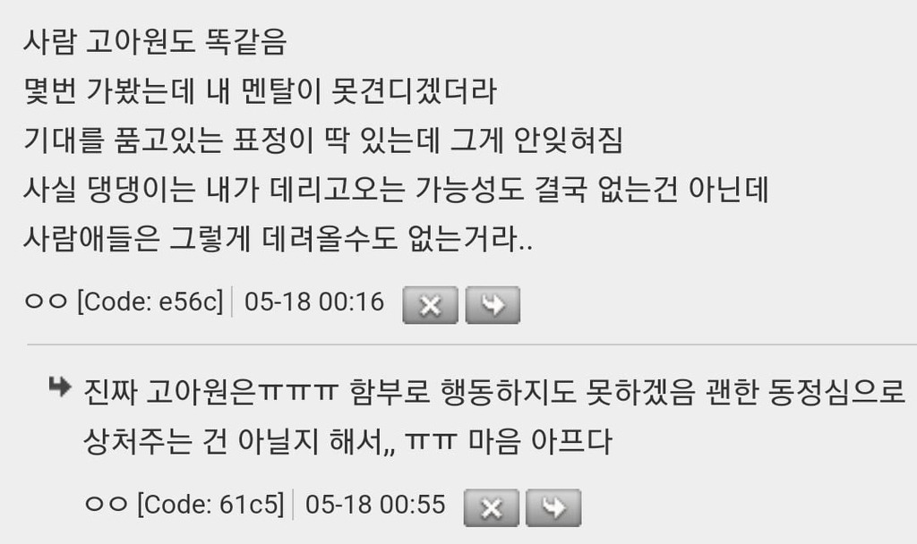 유기견 보호소 다녀왔는데 진짜 기분 묘함.jpg